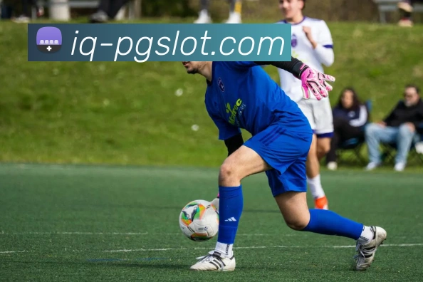 赏金女王PG电子官网品牌故事